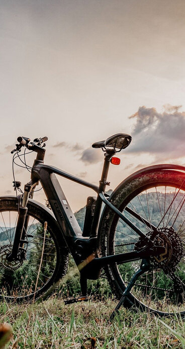 Lease a bike - Join the ride! - e-masters "Wir für Dein Handwerk" Lease a bike - Join the ride! - e-masters