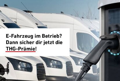 Mehr erfahren Boxbild THG