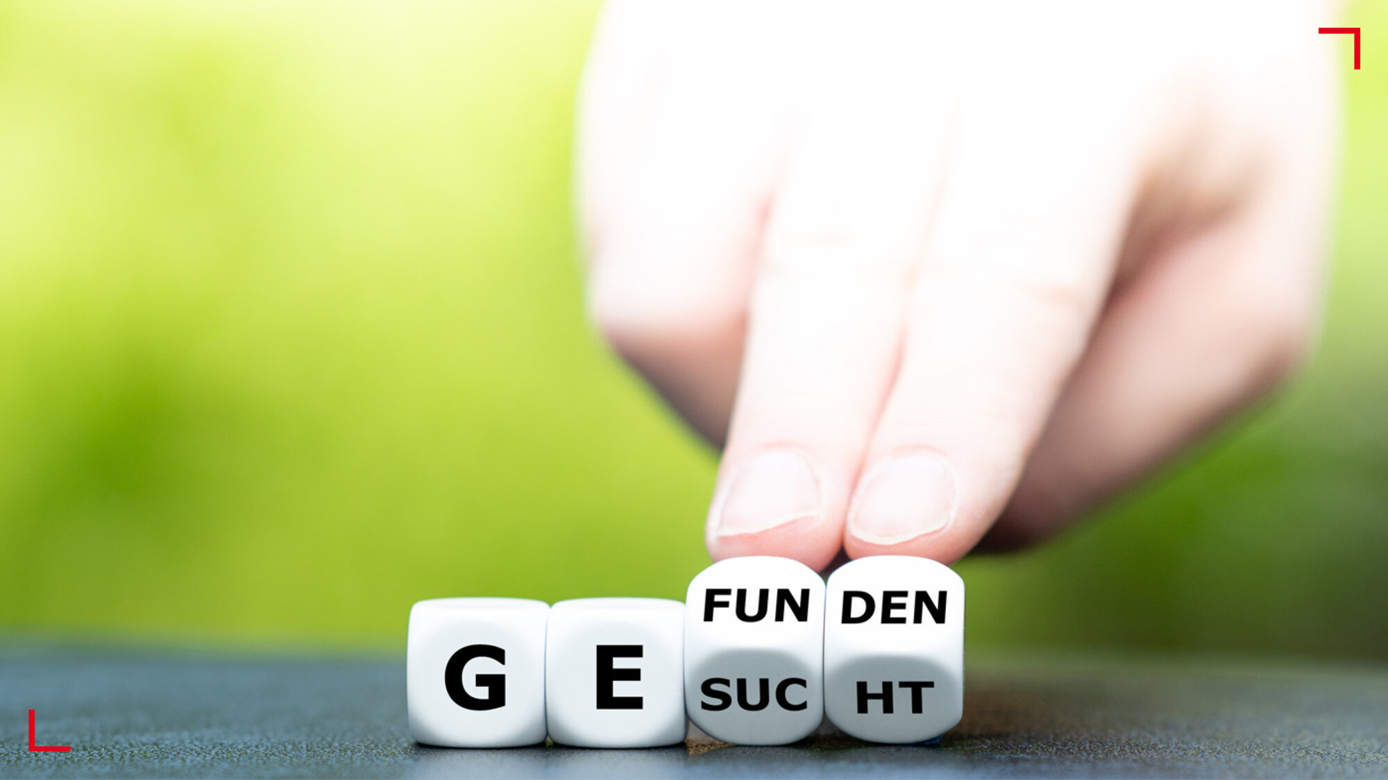 Stellenanzeigen: Was darf rein, was nicht?