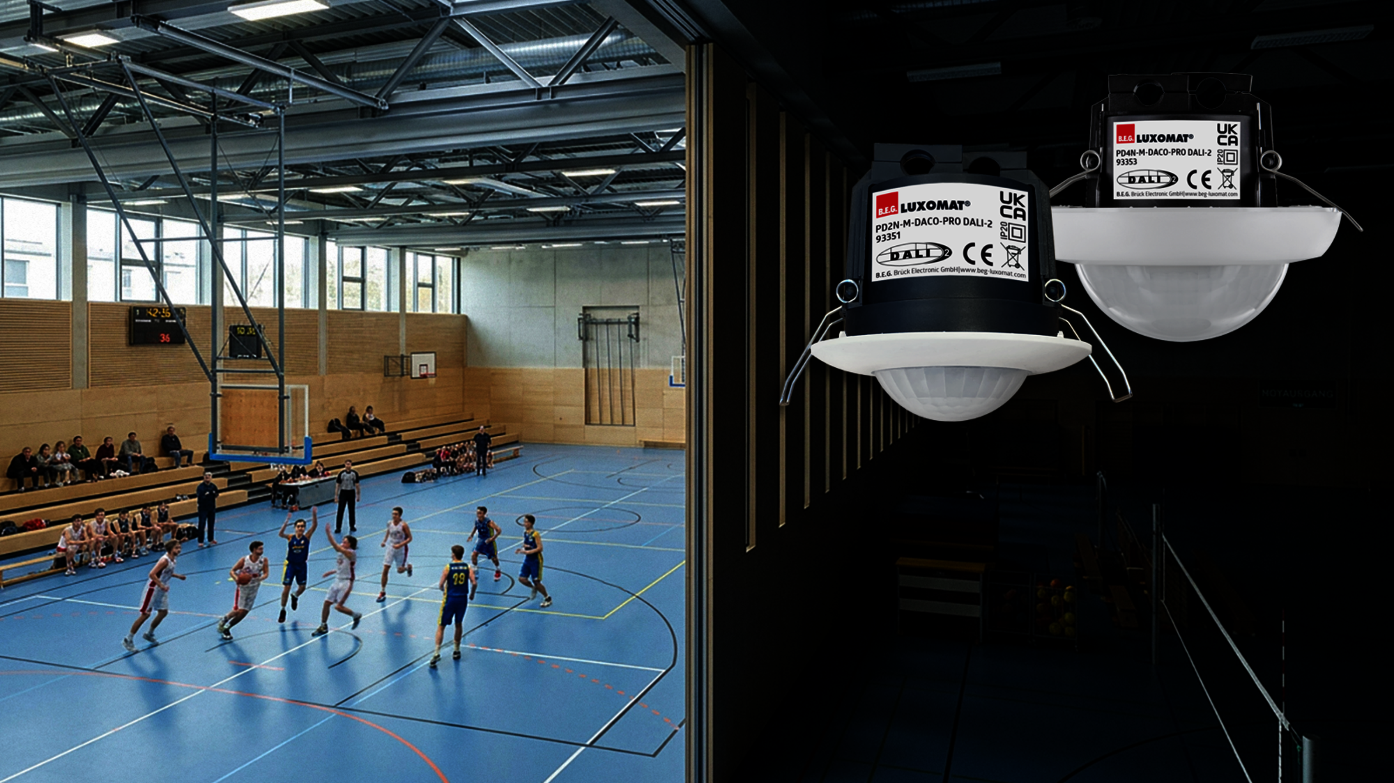 B.E.G. DACO® PRO für flexible, raumübergreifende und energieeffiziente Lichtlösungen