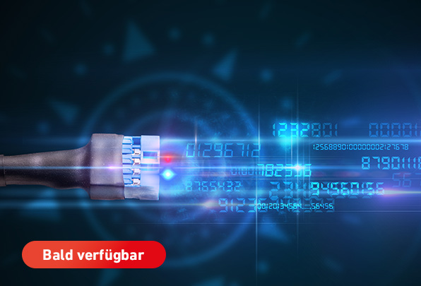 Darstellung der Datennetzwerk Kampagnenseite